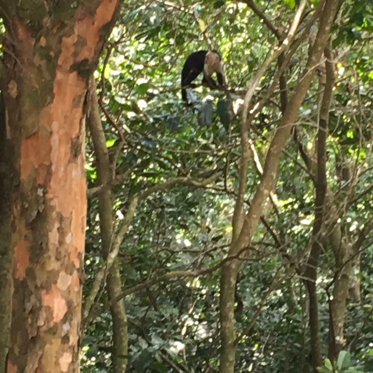Globi Lodge #2 Monteverde Luaran gambar